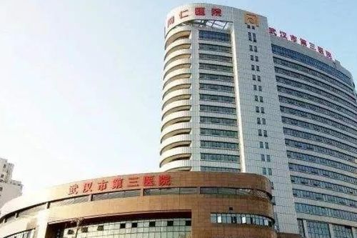 武漢市第三醫院未來科技城院區在哪[地址 建設進展](圖2)