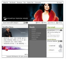 網(wǎng)站設(shè)計(jì)流行風(fēng)格模板評析 商業(yè)清爽型 2