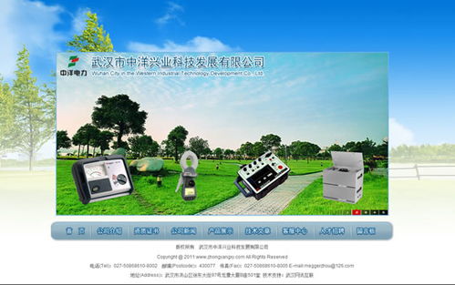 武漢網站設計項目 武漢市中洋興業科技發展網站開通