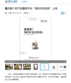 關于一家互聯網農產品公司的相關設計和插畫作品