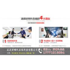 武漢網(wǎng)站設(shè)計