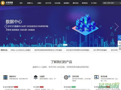 豐網(wǎng)信息與武漢網(wǎng)站開發(fā) 打造數(shù)字化未來的專業(yè)伙伴